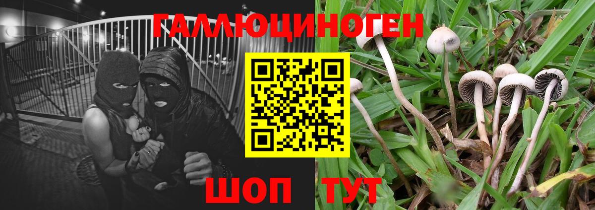 Псилоцибиновые грибы ЛСД Лянтор