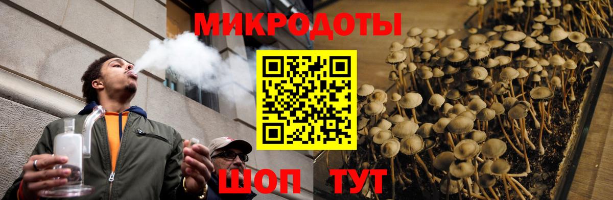 Лянтор  Галлюциногенные грибы MAGIC MUSHROOMS  Вход с VPN  Галлюциногенные грибы мицелий 